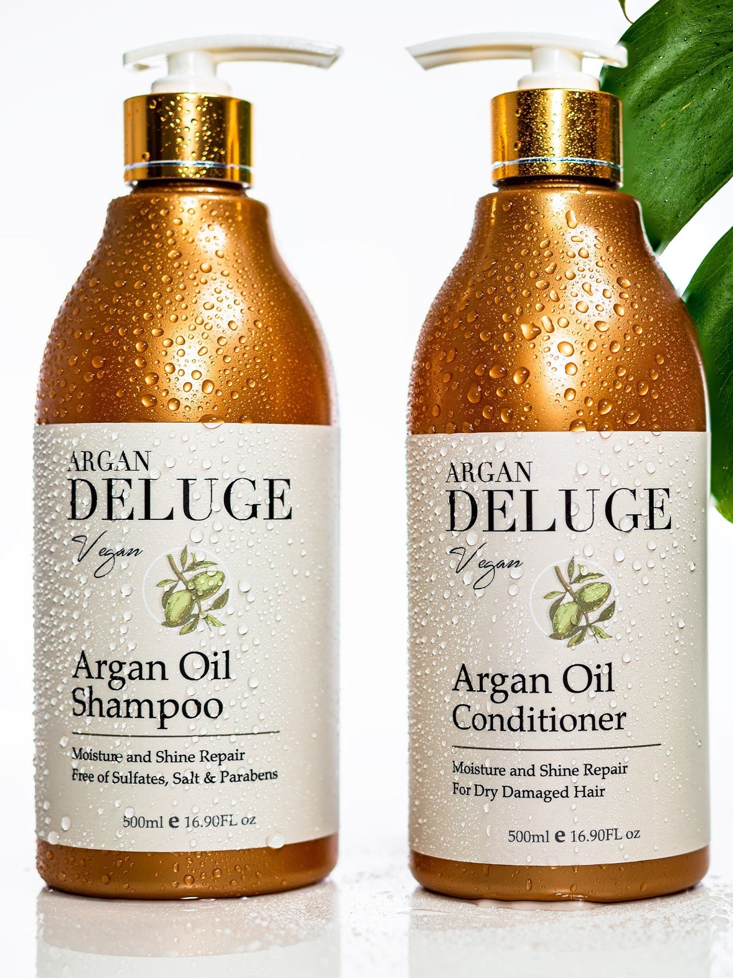 Shampoo and Conditioner -Argan Oil